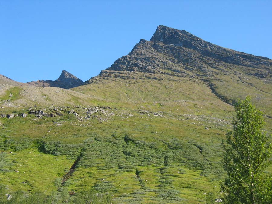 Troms060113