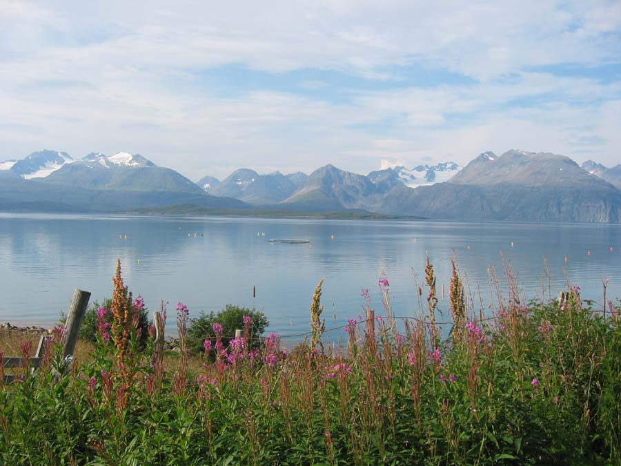 Troms060129