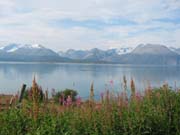 Troms060129